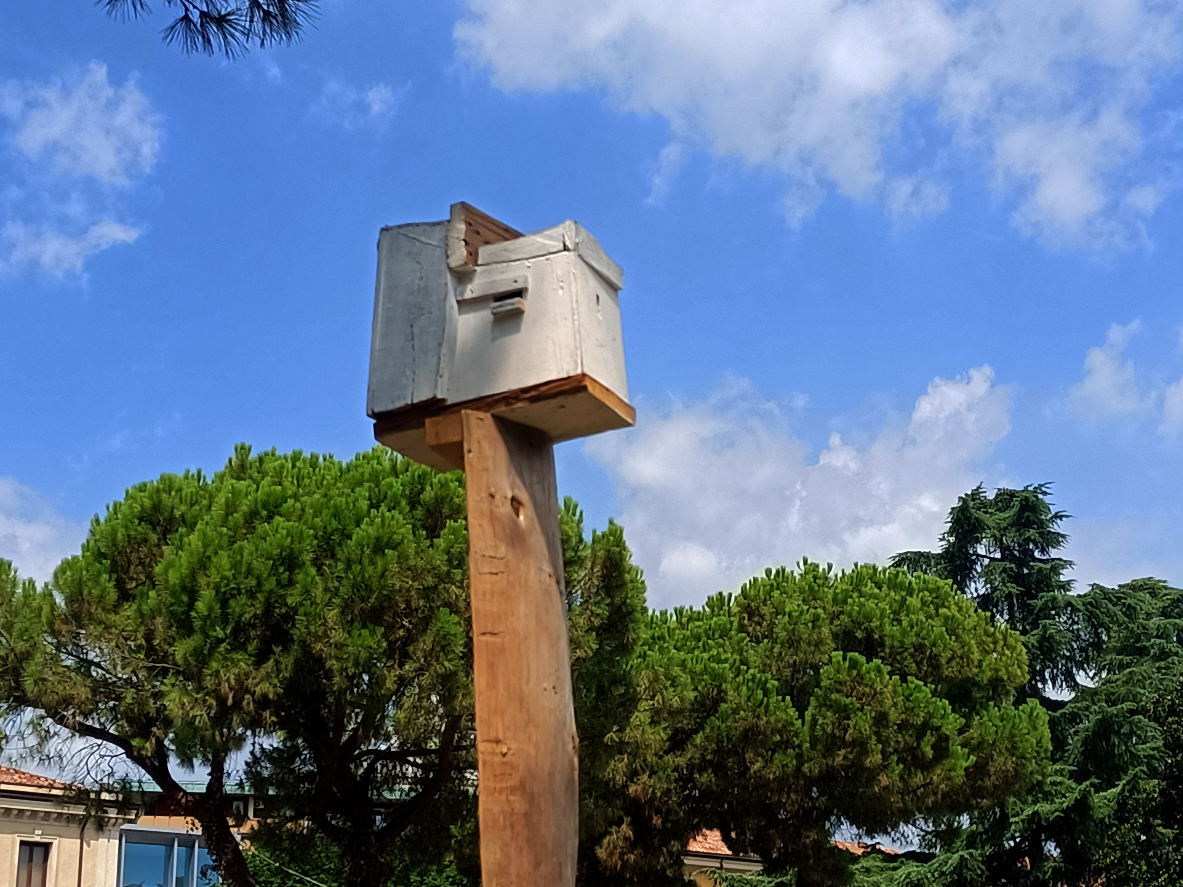 2025 Eremitani Qui da noi 11