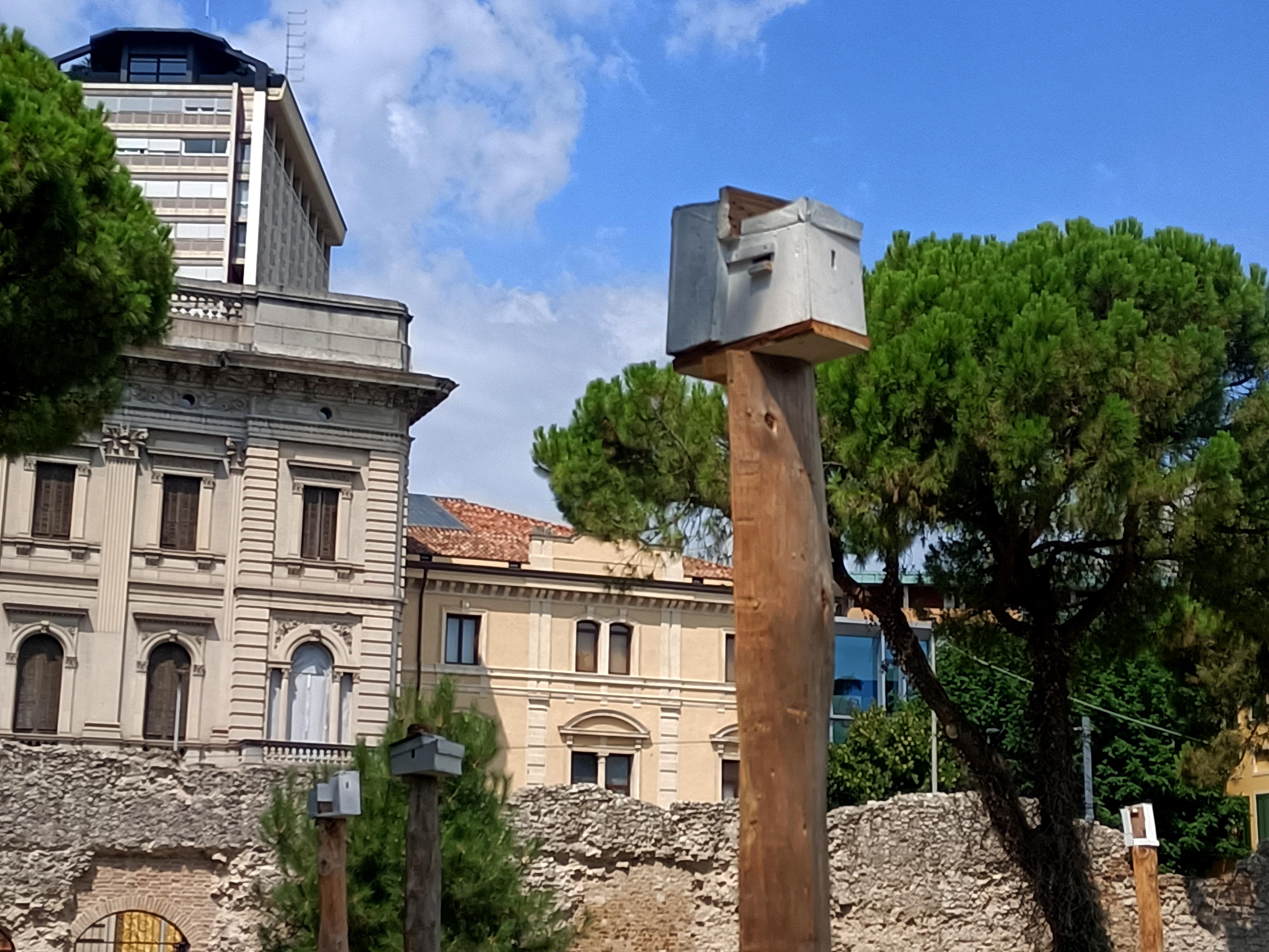 2025 Eremitani Qui da noi 18
