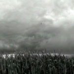 Sentieri sotto la neve